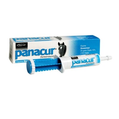 Merck Animal Health 069273 Panacur Equine Paste, 25Gm