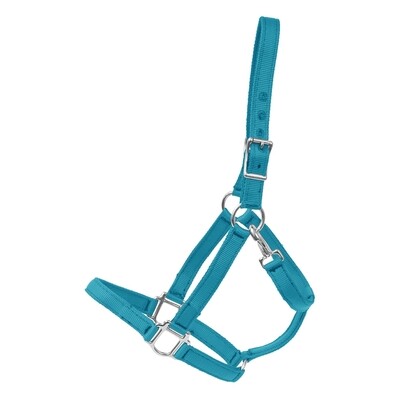 Large QS Halter, Torquoise