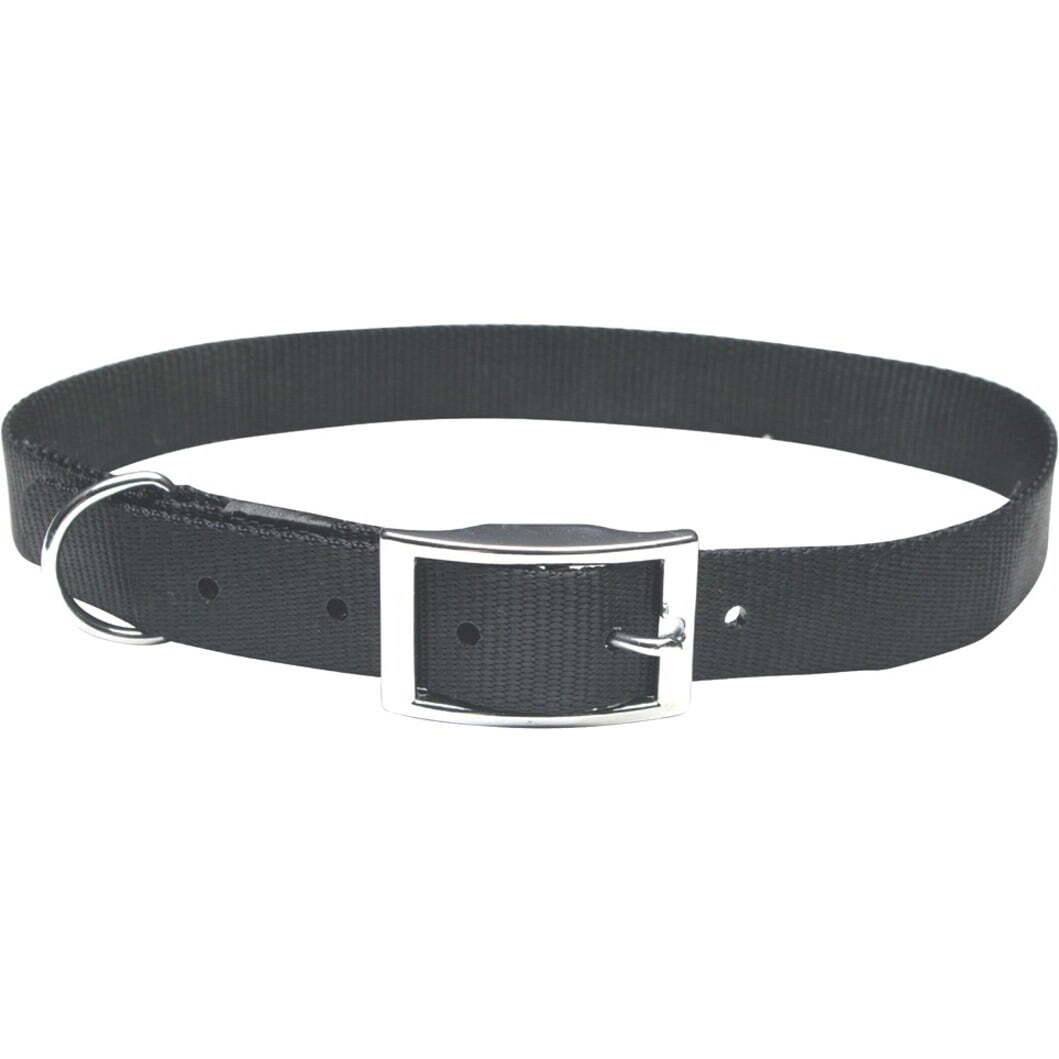 Nylon 1-Ply Dog Collar, 14&quot; Black