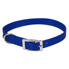 Nylon 1-Ply Dog Collar, 3/4&quot;X16&quot; Blue