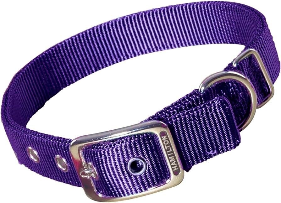 Nylon 1-Ply Dog Collar, 14&quot; Purple