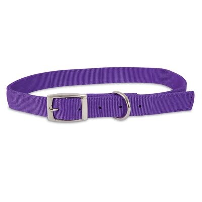Nylon 1-Ply Dog Collar, 3/4&quot;X16&quot; Purple