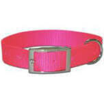 Nylon 1-Ply Dog Collar, 12&quot; Neon Pink