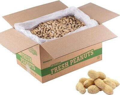 Roasted Salted Peanuts