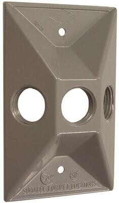 Hubbell 5189-5 Gray 2X4 Lampholder Cover, 3-Hole