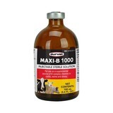 Maxi B 1000, Vitamin B Injectable, 100ML