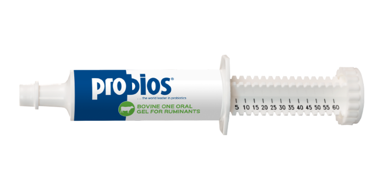 Vets Plus CHR-111 Probios Bovine Gel, 60G