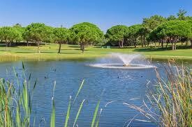Pond Treatments