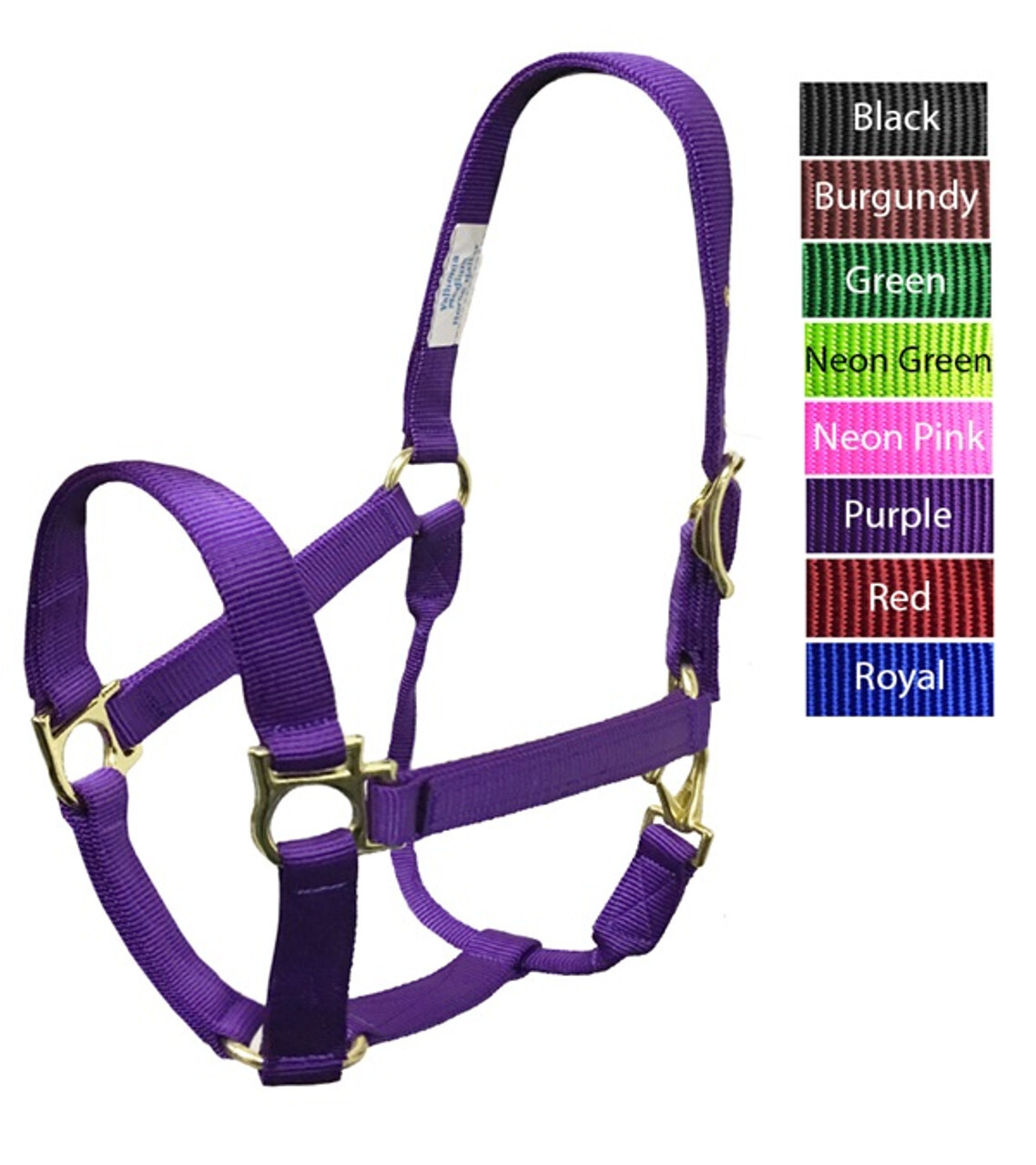 Purple QS Yearling Halter