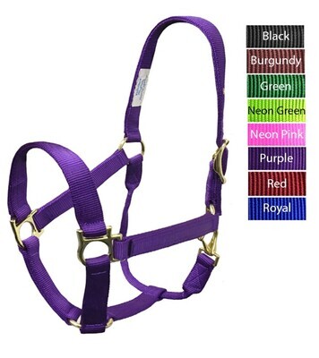 Purple QS Yearling Halter