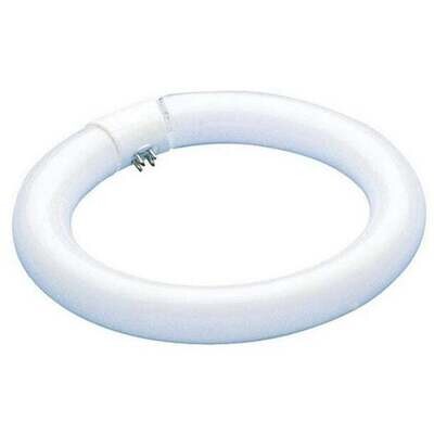 Feit Electric FC12T9/CW Circular 12&quot; Cool White Flourescent Light Bulb, 4-Pin 32W