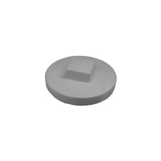 CANPLAS 193057S Threaded PVC Plug, 6&quot;