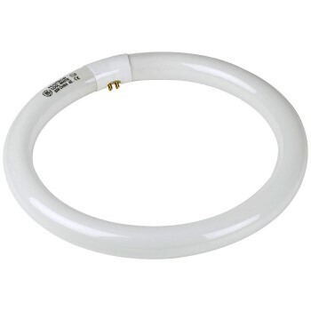 Feit Electric FC8T9/CW Circular 8&quot; Cool White Flourescent Light Bulb, 4-Pin 22W