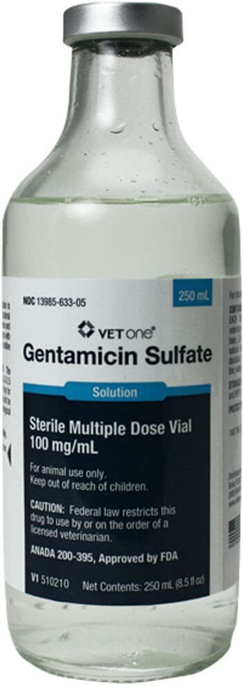 Gentamicin Injection, 250Ml