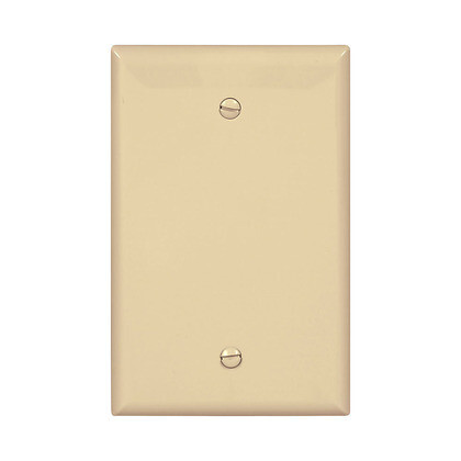 Eaton PJ13V Unbreakable Mid-Size Ivory Blank Cover, 1G