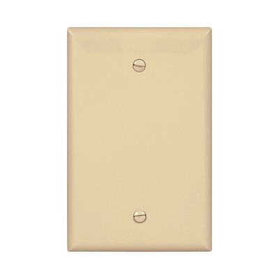 Eaton PJ13V Unbreakable Mid-Size Ivory Blank Cover, 1G