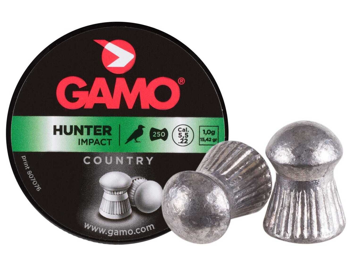Gamo Hunter .22CAL Round Nose Air Rifle Pellets, 250Ct