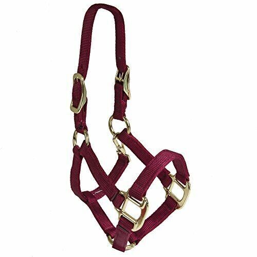 Small Burgundy QS Halter