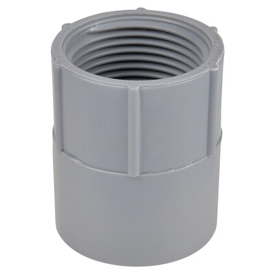 PVC Female Conduit Adaptor, 1-1/4&quot;