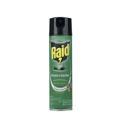 Raid 76410 House/Garden Insect Killer, 11oz