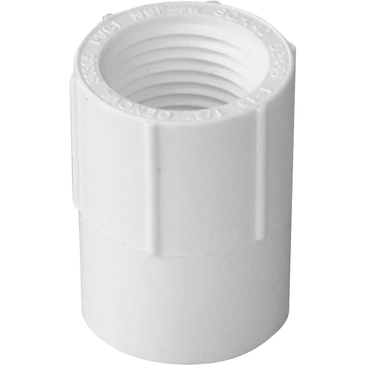 LASCO 435005BC PVC Sch40 Female Adaptor, 1/2&quot;