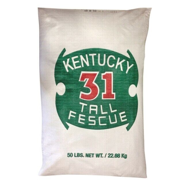 Kentucky 31 Tall Fescue Grass Seed, 50Lb