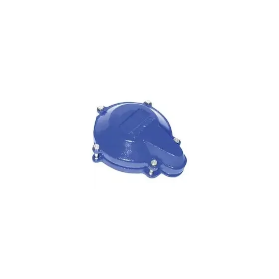 Simmons 758 Water Tight Pitless Well Cap, 6&quot;
