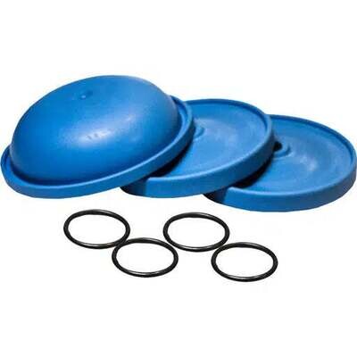 Hypro 9910Kit1724 Diaphragm Kit for D30