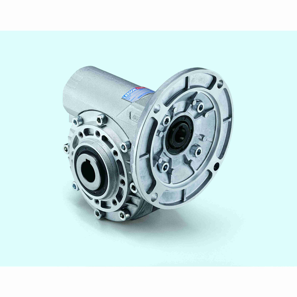 Leeson 60:1 Gearbox