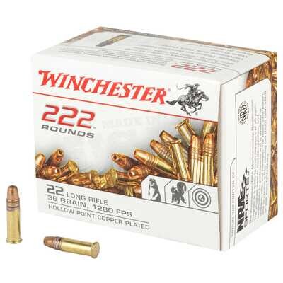 Winchester 22LR HP 36G Ammo, 222Ct