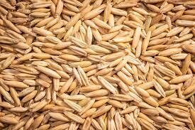 Whole Oats