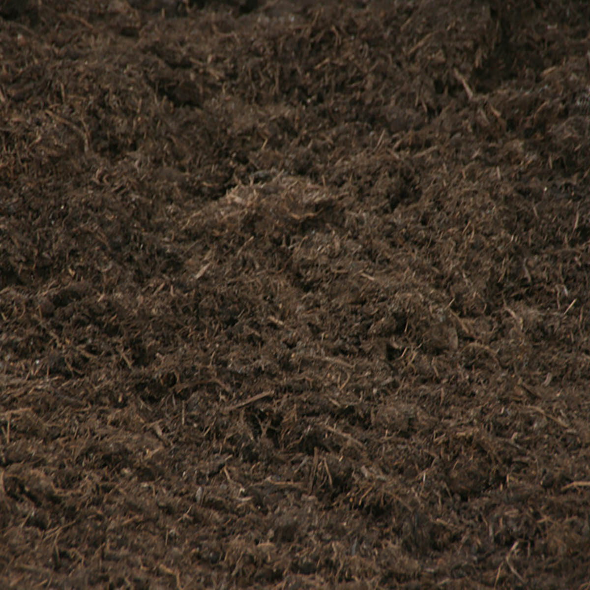 Mushroom Soil