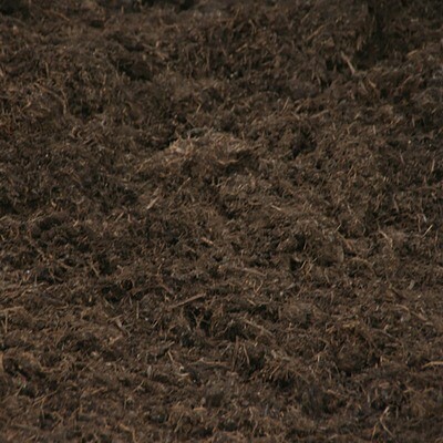 Mushroom Soil
