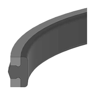 Piston Tee Seal w/Lock Ring, 2&quot;