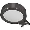 ETI Bronze LED Flood Light, 3500lm, 3000k, 4000k, 5000k