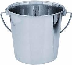 Big Dee&#39;s Stainless Steel Dairy Bucket, 16-Qt (4Gal) Made in USA