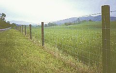 Fencing Wire
