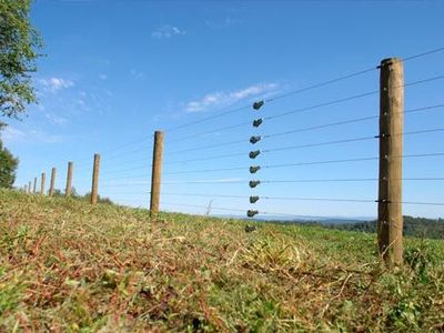Hi-Tensile Wire Fencing Supplies