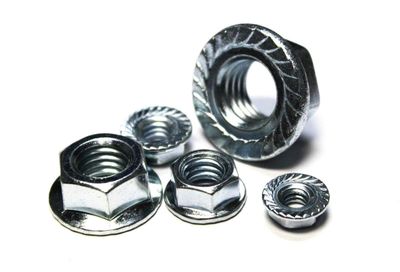 Flange Nuts