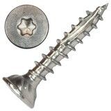 Stainless Steel Torx Drive Screws
