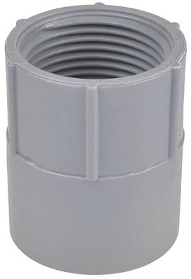 Carlon E942DR-CTN PVC Female Conduit Adaptor, 1/2&quot;