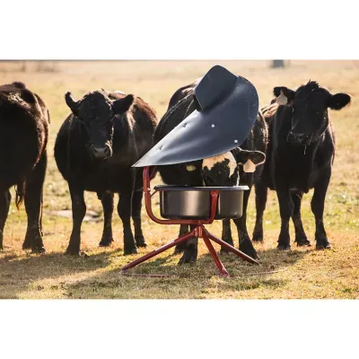 Cattle Hay &amp; Mineral Feeders