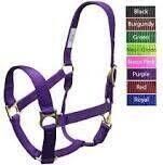 Halters &amp; Lead Ropes