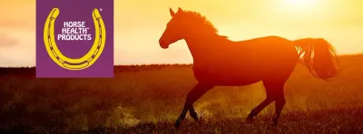 Horse Health Products