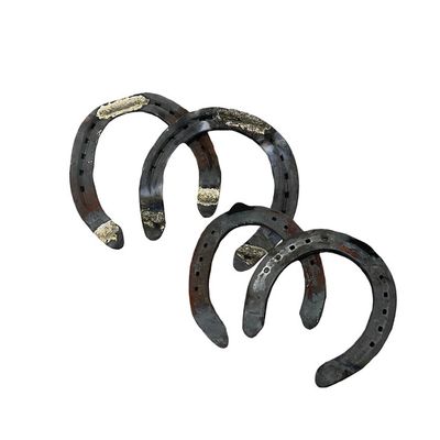 Horse Shoes