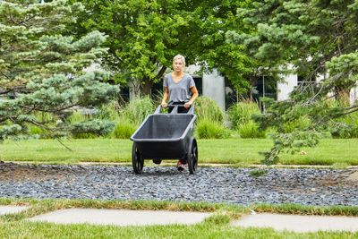 Wheelbarrows &amp; Carts