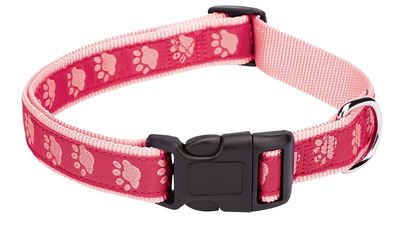 Casual Canine ZA8871 06 75 Pink Two Tone Paw Print Collar, 6-10&quot;