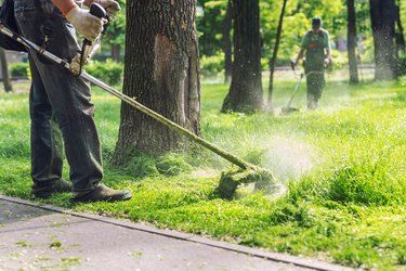 Weed &amp; Grass Trimming Tools &amp; Supplies