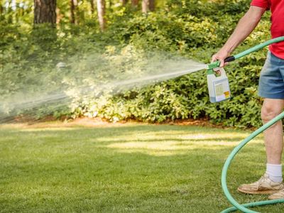 Lawn Insect &amp; Pest Control Products