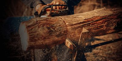 Chainsaw Parts &amp; Accessories